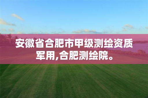 安徽省合肥市甲級測繪資質軍用,合肥測繪院。