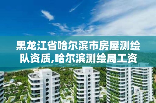 黑龍江省哈爾濱市房屋測繪隊資質(zhì),哈爾濱測繪局工資怎么樣。