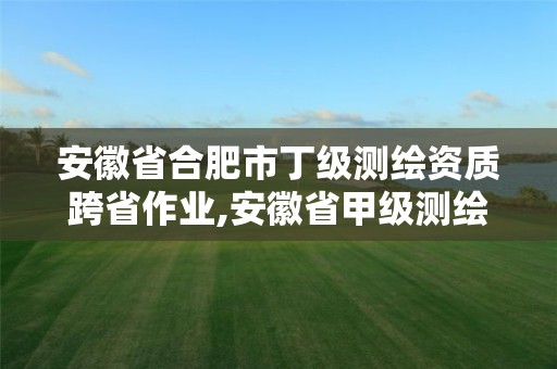 安徽省合肥市丁級測繪資質跨省作業,安徽省甲級測繪資質單位。