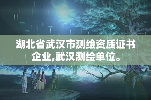 湖北省武漢市測繪資質(zhì)證書企業(yè),武漢測繪單位。