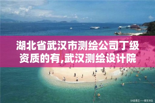 湖北省武漢市測繪公司丁級資質(zhì)的有,武漢測繪設計院。