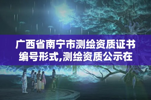 廣西省南寧市測繪資質證書編號形式,測繪資質公示在哪里查詢。