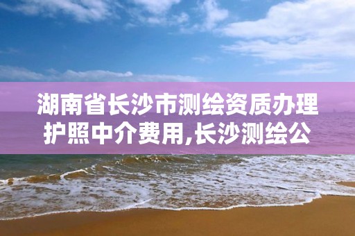 湖南省長沙市測繪資質辦理護照中介費用,長沙測繪公司資質有哪家。