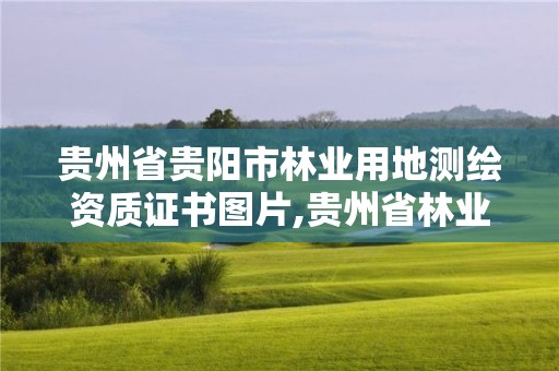 貴州省貴陽市林業用地測繪資質證書圖片,貴州省林業勘察設計院地址。