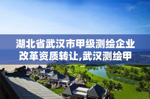 湖北省武漢市甲級測繪企業(yè)改革資質轉讓,武漢測繪甲級資質公司。