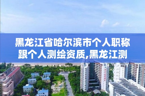 黑龍江省哈爾濱市個人職稱跟個人測繪資質,黑龍江測繪公司乙級資質。