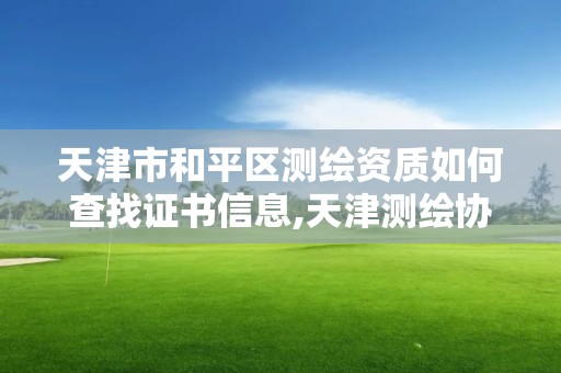 天津市和平區(qū)測(cè)繪資質(zhì)如何查找證書信息,天津測(cè)繪協(xié)會(huì)。