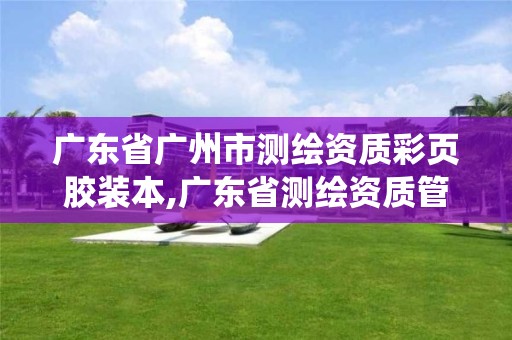 廣東省廣州市測繪資質彩頁膠裝本,廣東省測繪資質管理系統。