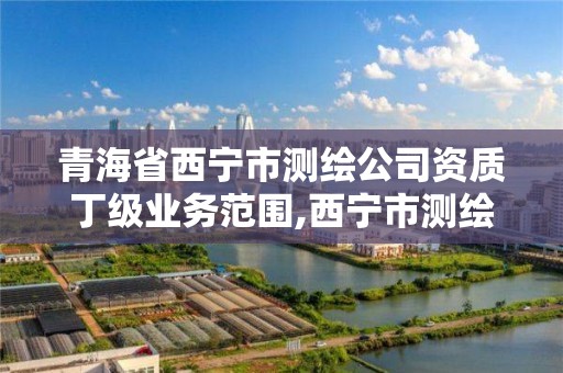 青海省西寧市測繪公司資質丁級業務范圍,西寧市測繪院改企業。