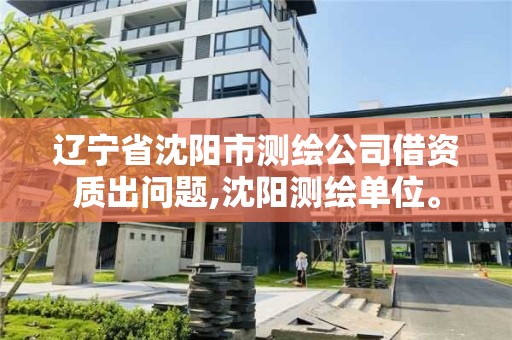 遼寧省沈陽市測繪公司借資質出問題,沈陽測繪單位。