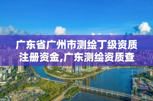 廣東省廣州市測繪丁級資質(zhì)注冊資金,廣東測繪資質(zhì)查詢。