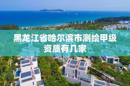 黑龍江省哈爾濱市測繪甲級資質(zhì)有幾家