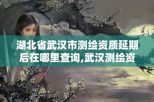 湖北省武漢市測繪資質延期后在哪里查詢,武漢測繪資質代辦。