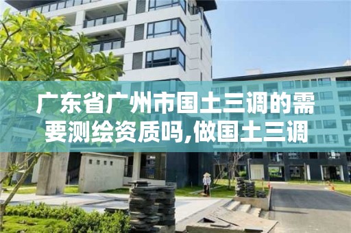 廣東省廣州市國土三調(diào)的需要測(cè)繪資質(zhì)嗎,做國土三調(diào)項(xiàng)目怎么樣。