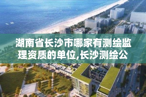 湖南省長沙市哪家有測繪監理資質的單位,長沙測繪公司資質有哪家。