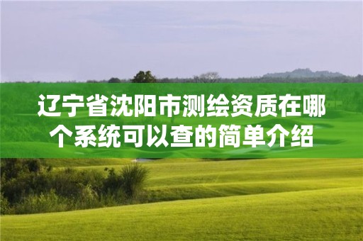 遼寧省沈陽(yáng)市測(cè)繪資質(zhì)在哪個(gè)系統(tǒng)可以查的簡(jiǎn)單介紹