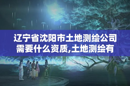 遼寧省沈陽市土地測繪公司需要什么資質,土地測繪有限公司。