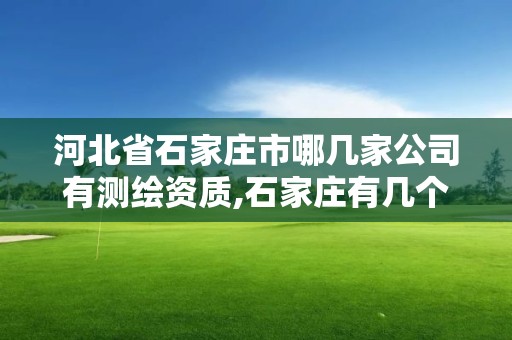 河北省石家莊市哪幾家公司有測繪資質,石家莊有幾個測繪局。