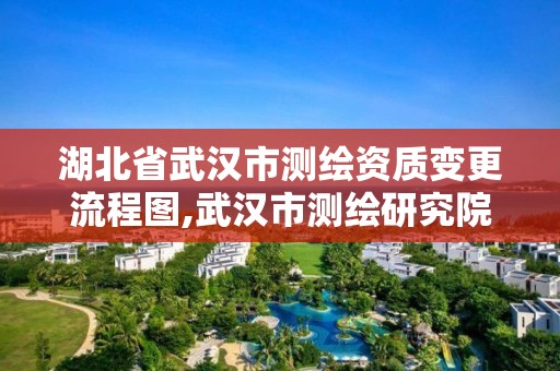 湖北省武漢市測繪資質變更流程圖,武漢市測繪研究院改制。