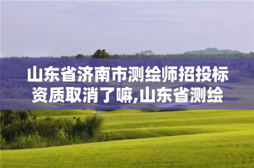 山東省濟南市測繪師招投標資質取消了嘛,山東省測繪資質管理規定。