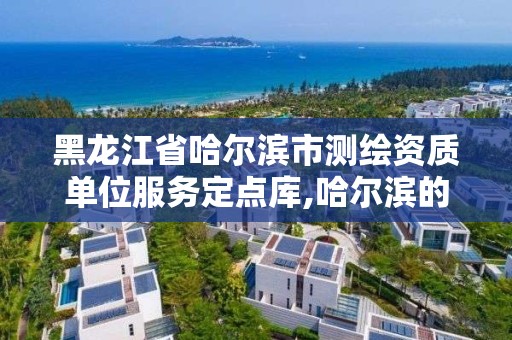 黑龍江省哈爾濱市測繪資質單位服務定點庫,哈爾濱的測繪公司有哪些。