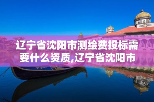 遼寧省沈陽市測繪費投標需要什么資質,遼寧省沈陽市測繪費投標需要什么資質的。