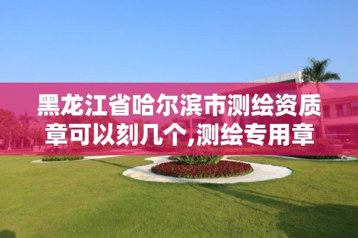 黑龍江省哈爾濱市測繪資質章可以刻幾個,測繪專用章有效期。