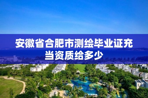 安徽省合肥市測繪畢業證充當資質給多少