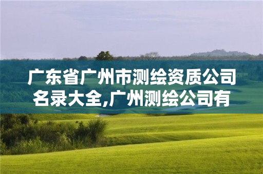 廣東省廣州市測繪資質(zhì)公司名錄大全,廣州測繪公司有哪些。