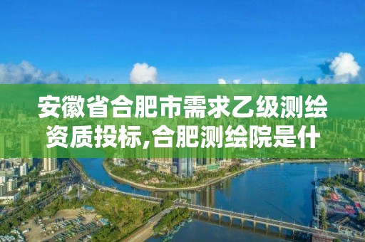 安徽省合肥市需求乙級測繪資質投標,合肥測繪院是什么單位。