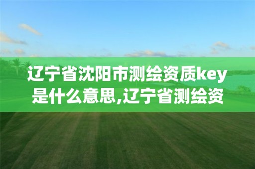 遼寧省沈陽市測繪資質key是什么意思,遼寧省測繪資質管理信息系統。