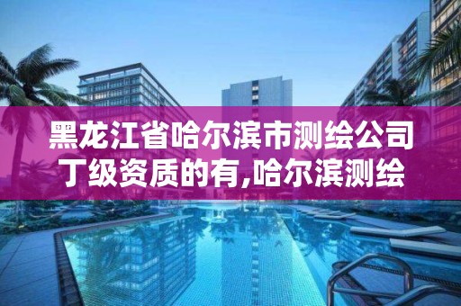 黑龍江省哈爾濱市測(cè)繪公司丁級(jí)資質(zhì)的有,哈爾濱測(cè)繪地理信息局招聘公告。