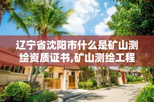 遼寧省沈陽市什么是礦山測繪資質證書,礦山測繪工程師招聘。