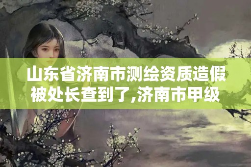 山東省濟南市測繪資質造假被處長查到了,濟南市甲級測繪資質單位。