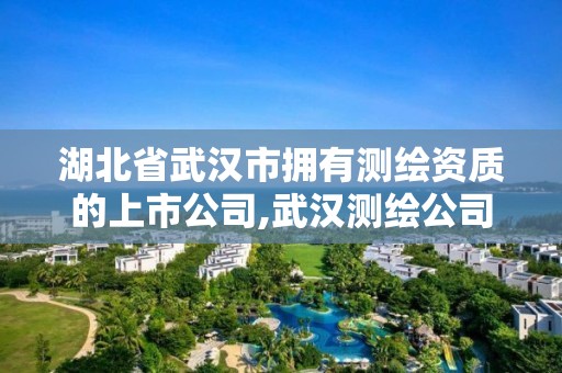 湖北省武漢市擁有測繪資質的上市公司,武漢測繪公司招聘。