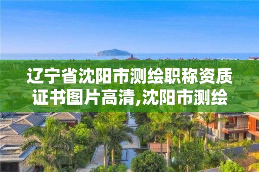 遼寧省沈陽市測繪職稱資質(zhì)證書圖片高清,沈陽市測繪院電話。