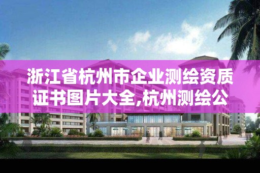 浙江省杭州市企業測繪資質證書圖片大全,杭州測繪公司有哪幾家。