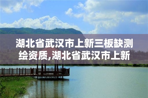 湖北省武漢市上新三板缺測繪資質(zhì),湖北省武漢市上新三板缺測繪資質(zhì)的公司。