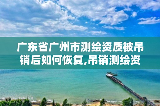 廣東省廣州市測繪資質被吊銷后如何恢復,吊銷測繪資質證書。