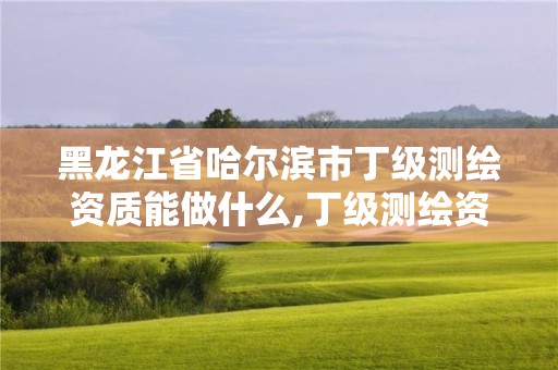 黑龍江省哈爾濱市丁級測繪資質能做什么,丁級測繪資質業務范圍。