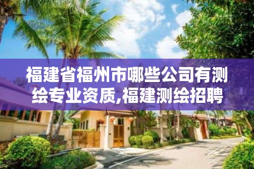 福建省福州市哪些公司有測繪專業(yè)資質(zhì),福建測繪招聘。