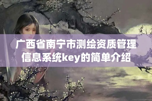 廣西省南寧市測繪資質管理信息系統key的簡單介紹