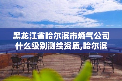 黑龍江省哈爾濱市燃氣公司什么級別測繪資質,哈爾濱燃氣工程公司。