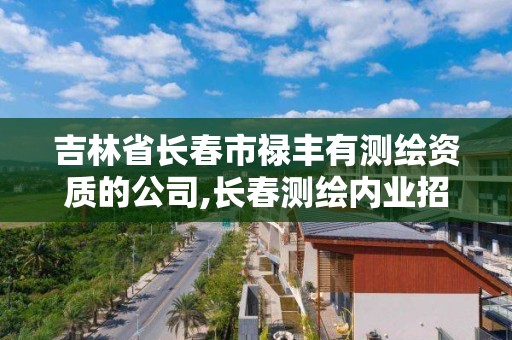 吉林省長春市祿豐有測繪資質的公司,長春測繪內業招聘。