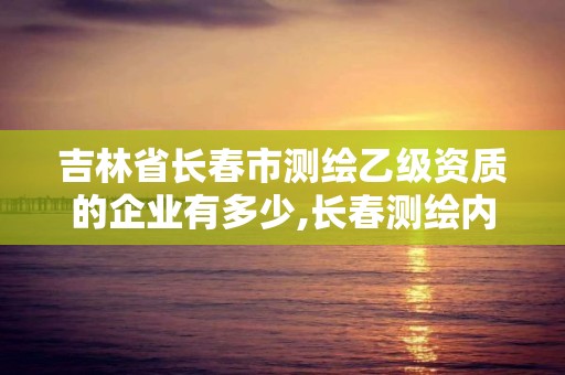 吉林省長春市測繪乙級資質的企業有多少,長春測繪內業招聘。