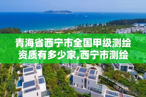 青海省西寧市全國甲級(jí)測繪資質(zhì)有多少家,西寧市測繪院怎么樣。