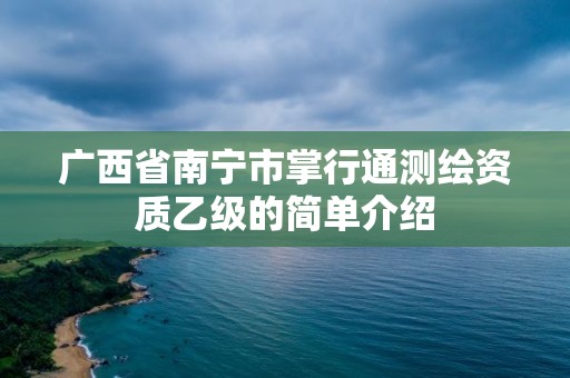 廣西省南寧市掌行通測繪資質乙級的簡單介紹