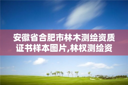 安徽省合肥市林木測繪資質證書樣本圖片,林權測繪資質。