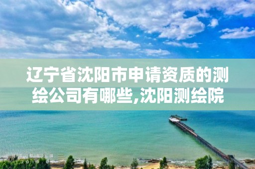 遼寧省沈陽市申請資質的測繪公司有哪些,沈陽測繪院是什么單位。