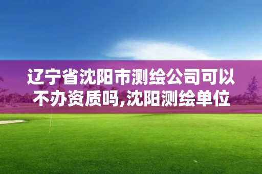 遼寧省沈陽市測繪公司可以不辦資質嗎,沈陽測繪單位排名。